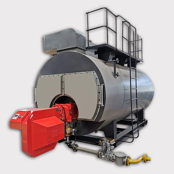 CWNS Type Oil And Gas Hot Water Boiler