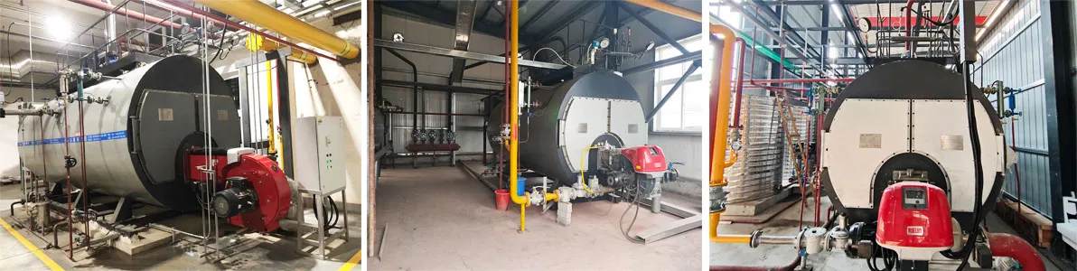 wns-type-gas-and-oil-steam-boiler-application