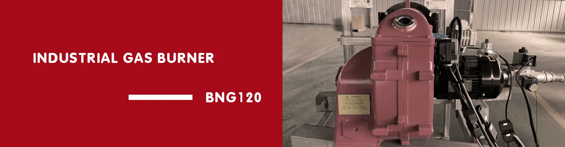 Industrial Gas Burner BNG120