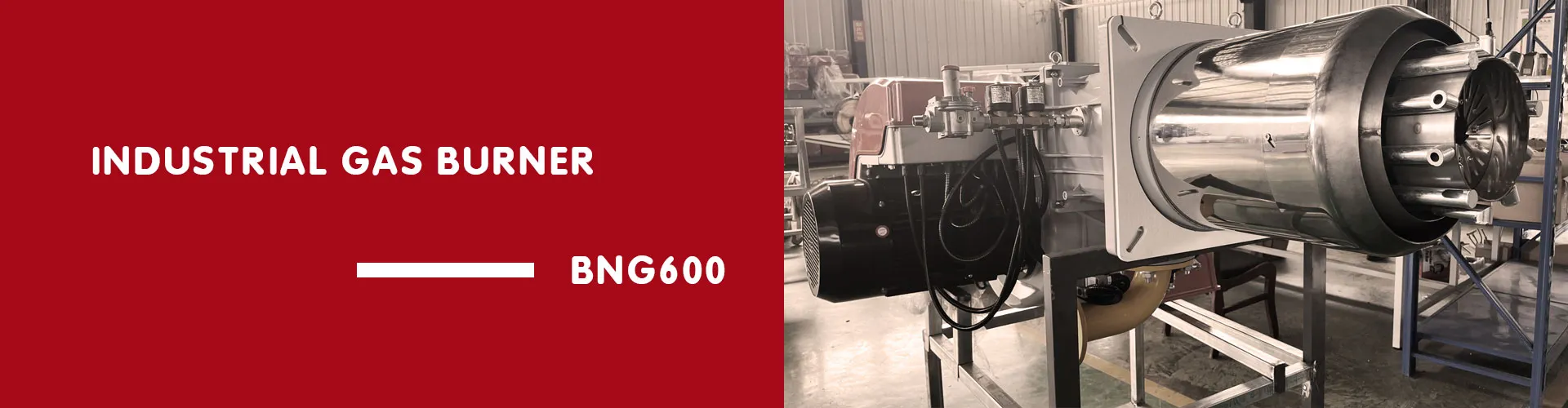 Industrial Gas Burner BNG600